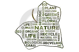 Word cloud about ecology in the form of an ivy leaf