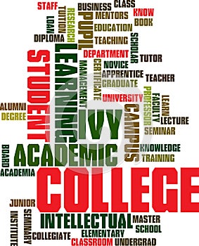 Word cloud education related