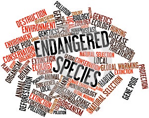 Word cloud for Endangered Species