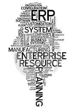 Word Cloud Enterprise Resource Planning