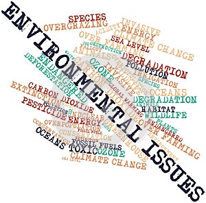 Word cloud for Environmental Issues