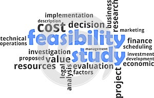 Word cloud - feasibility study