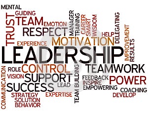 Word Cloud Leadership