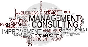 Word Cloud Management Consulting