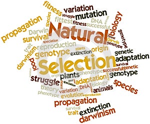 Word cloud for Natural Selection