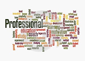 Word Cloud with PROFESSIONAL concept, isolated on a white background