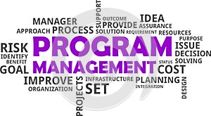 Word cloud - program management