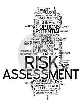 Word Cloud Risk Assessment