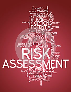 Word Cloud Risk Assessment