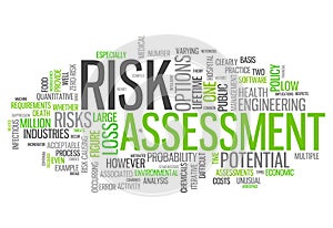 Word Cloud Risk Assessment