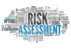 Word Cloud Risk Assessment