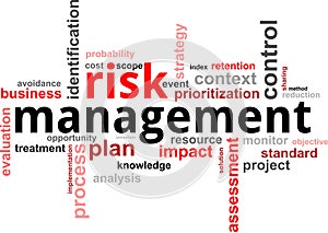 Word cloud - risk management