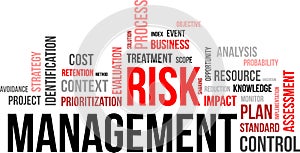 Word cloud - risk management