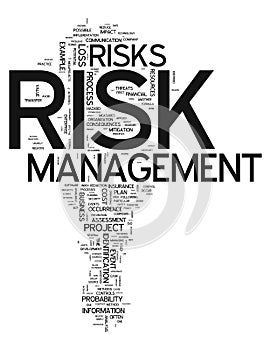 Word Cloud Risk Management