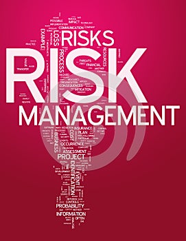 Word Cloud Risk Management
