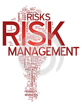 Word Cloud Risk Management