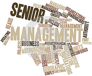Word cloud for Senior management