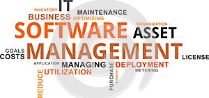 Word cloud - software asset management