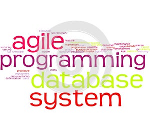 Word cloud - software development