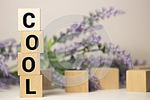 word cool made of jce block isolated on the white background