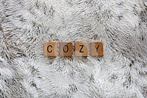 Word Cozy Spelled out in Wooden Letter Tiles on Cozy Faux Fur Blanket Background photo