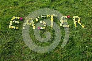 The word Easter spelt out in flowers.