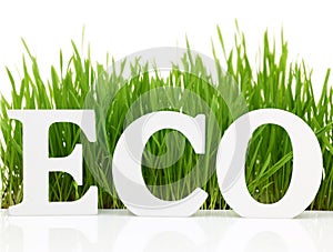 Word Eco with fresh grass