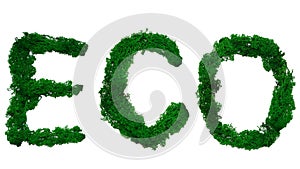 Word eco made from stabilized moss on white background photo