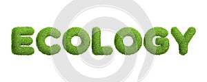 The word ECOLOGY in a fresh green grass texture, emphasizing the study and protection of the environment, isolated on a white