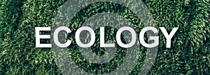 Word Ecology on moss, green grass background. Top view. Copy space. Banner. Biophilia concept. Nature backdrop