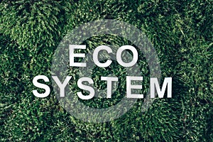Word ecosystem on moss, green grass background. Top view. Copy space. Banner. Biophilia concept. Nature backdrop