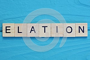 word elation made from wooden gray letters photo