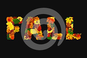 Word FALL made with colorful fall leaves, physalis lanterns Physalis alkekengi, dog-rose fruits and acorns, isolated on black