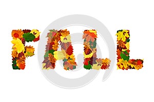 Word FALL made with colorful fall leaves, physalis lanterns Physalis alkekengi, dog-rose fruits and acorns, isolated on white