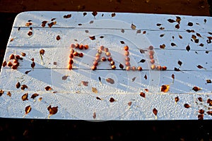 Word FALL made of crab apples on white wooden table