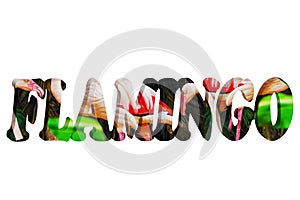 The word FLAMINGO in 3d