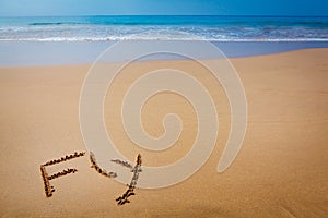 Word Fly Written in Sand on Tropical Beach