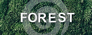Word Forest on moss, green grass background. Top view. Copy space. Banner. Biophilia concept. Nature backdrop