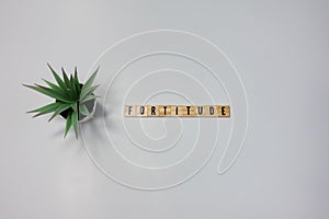 The word Fortitude written in wooden letter tiles on a white background