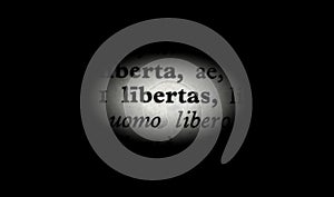 Word freedom highlighted, black and white, latin.