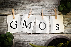 The Word GMOS Concept Printed on Cards