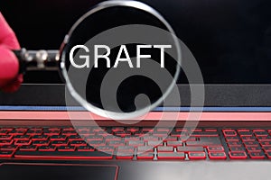 The word Graft found by the doctor on the monitor with a magnifying glass. Medical concept