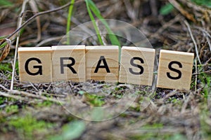 Word grass made of wooden letters in green vegetation