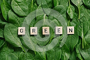 The word green is displayed in wooden blocks on spinach leaves