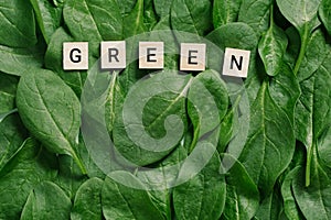 The word green is displayed in wooden blocks on spinach leaves