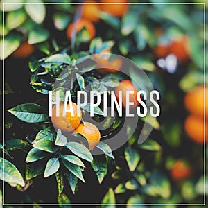 Word Happines. Branches with the fruits of the orange trees.