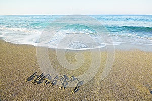 Word happy written on beach sand