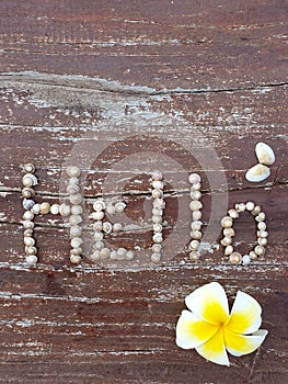 Word hello made from small sea shells and flowers of plumeria lying on dark brown old shabby wooden background