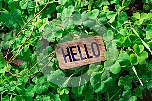 The word hello wooden tag