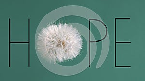 Word HOPE made with letters and dandelion flower on green background